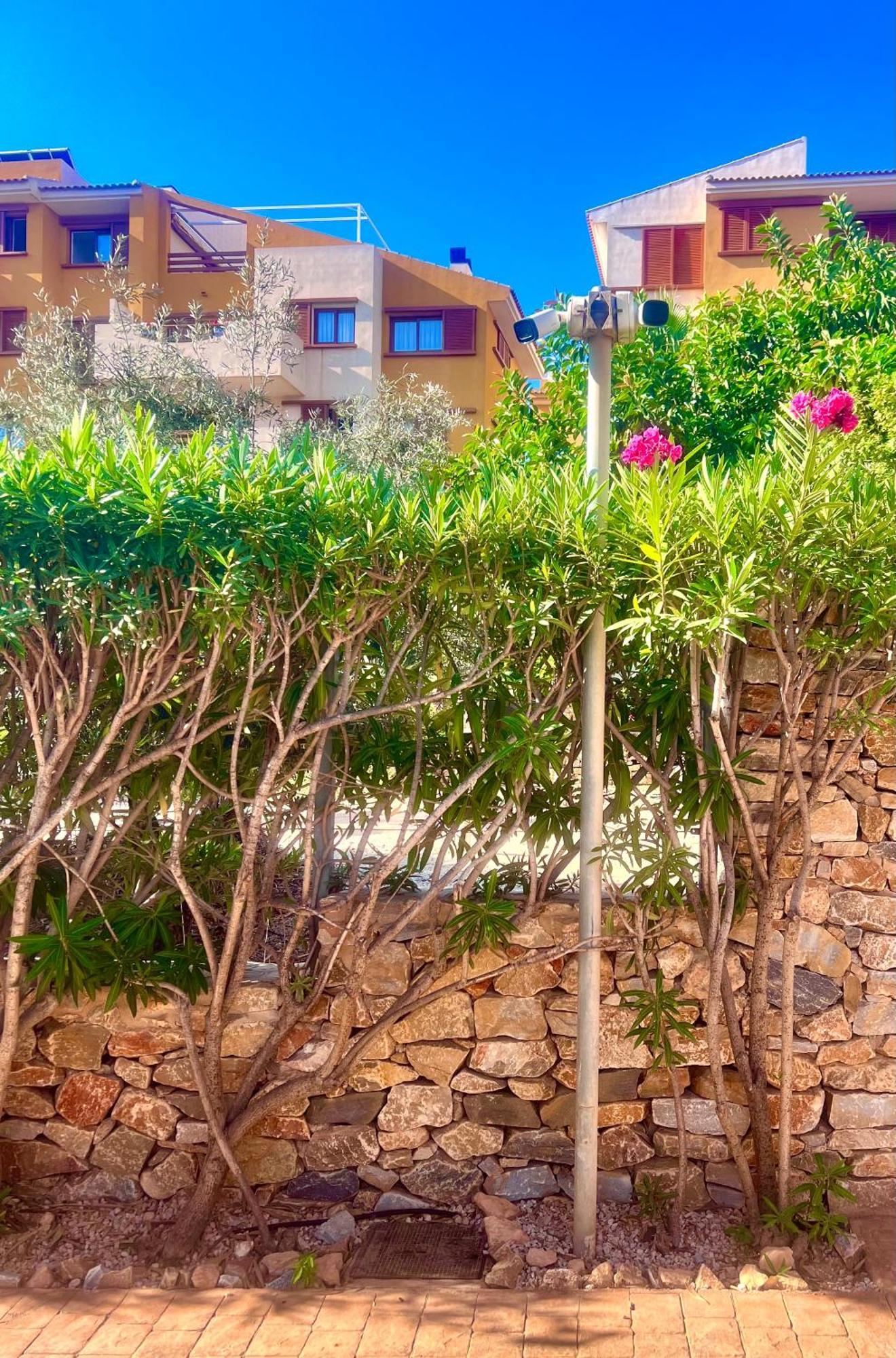 Torrevieja 200M From Sea Punta Prima Apartment อาลิกันเต ภายนอก รูปภาพ